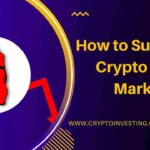 Crypto Bear Market में क्या करें? How to Survive in Crypto Bear Market in Hindi? 