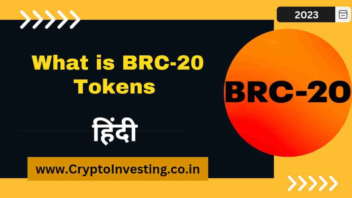 BRC-20 Token क्या है? What is BRC-20 Token in Hindi? 