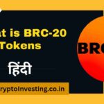 BRC-20 Token क्या है? What is BRC-20 Token in Hindi? 