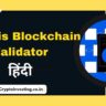 Blockchain Validator in Hindi