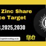Hind Zinc Share Price Target 2023
